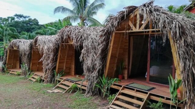 Bodhi Santa Catalina