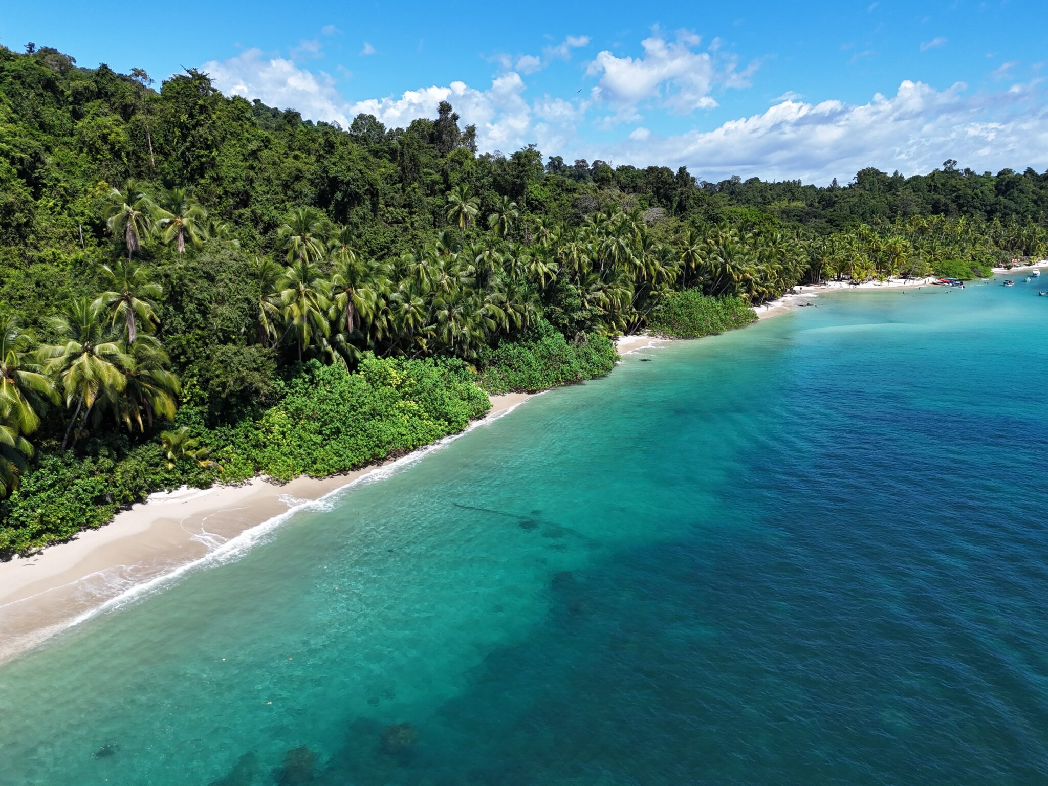 Coiba Island Panama - Tours, Diving, Stays & Things to Do