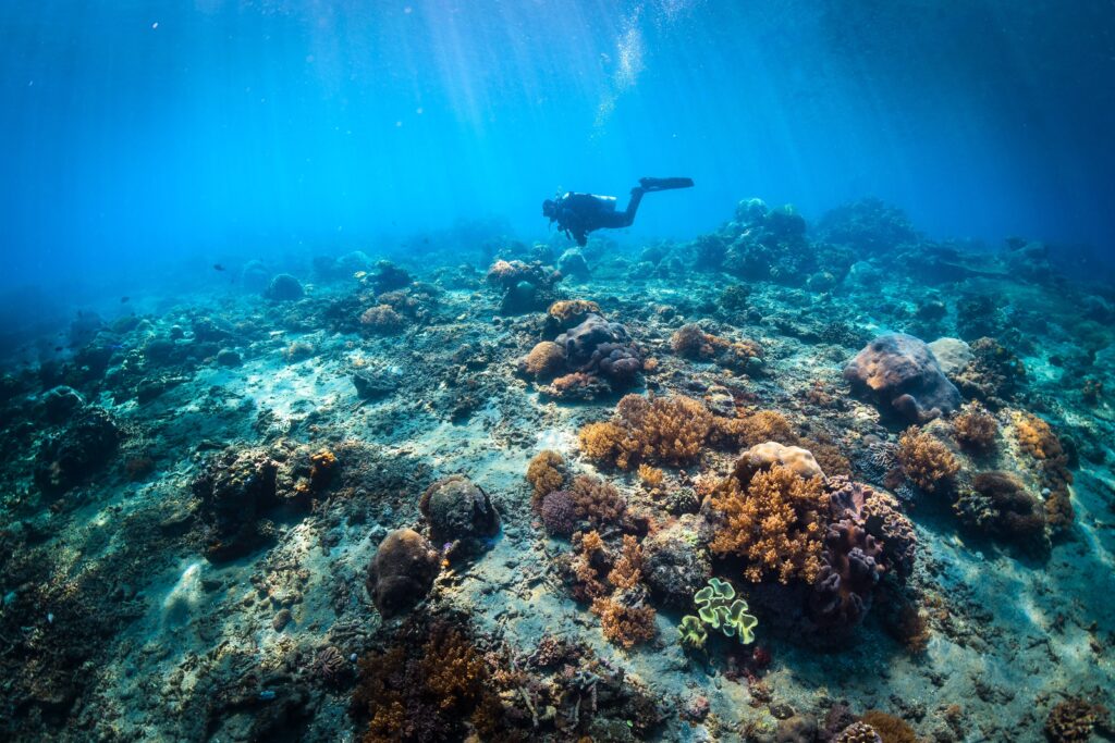 Top things to do in Santa Catalina during your Coiba trip