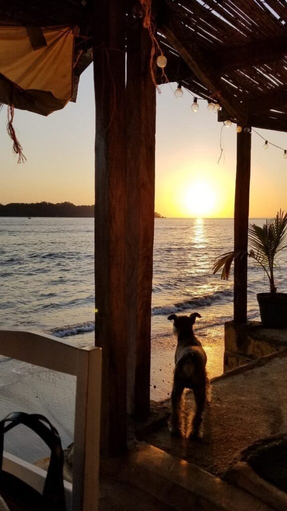 Restaurant santa catalina Pinguinos