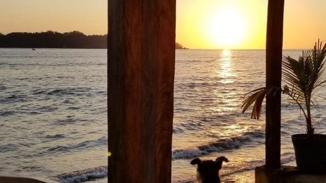 Restaurant santa catalina Pinguinos