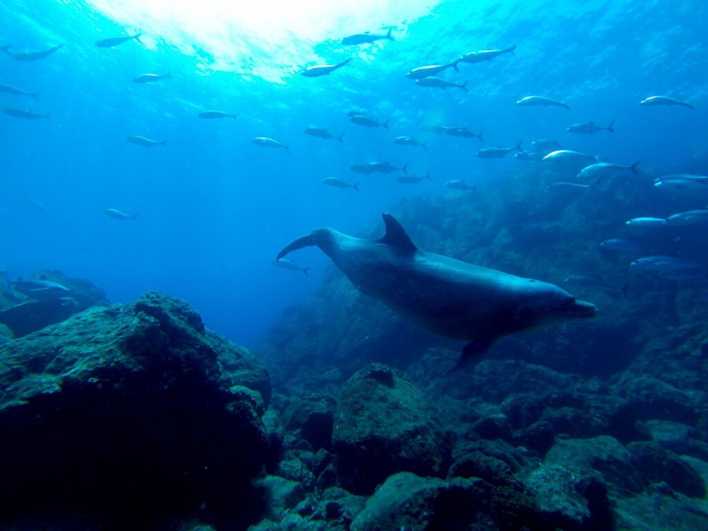 imgi_200_GOPR0453-Editar-1500×1125