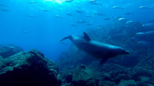 imgi_200_GOPR0453-Editar-1500×1125