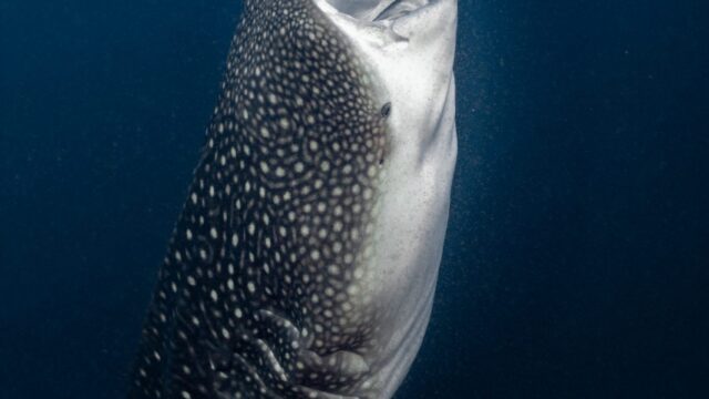 imgi_244_IMG_4764-2-Editar-scaled