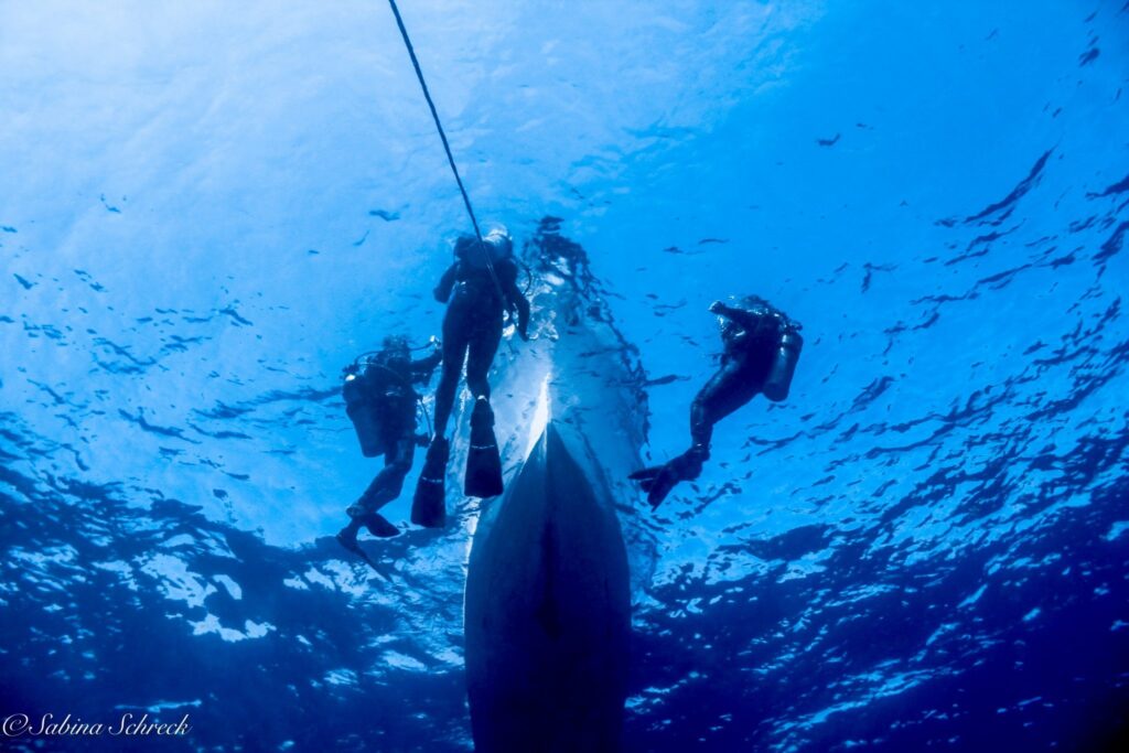 imgi_265_boat-and-diver-2048×1365