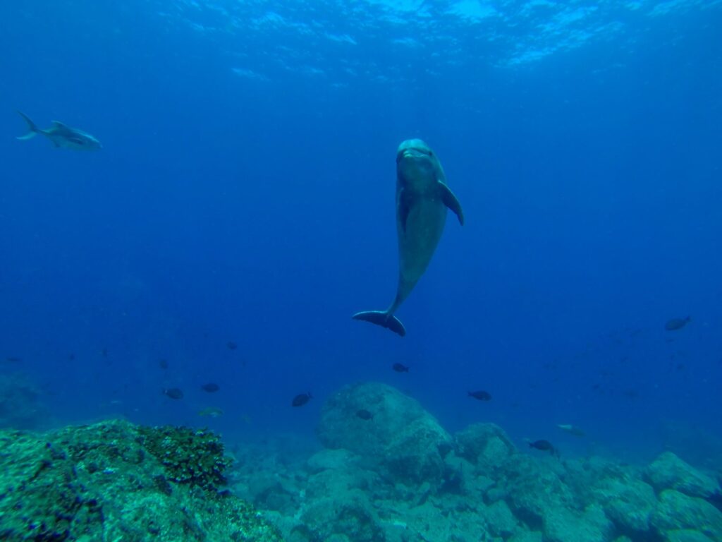 imgi_288_GOPR0455-Editar-1500×1125