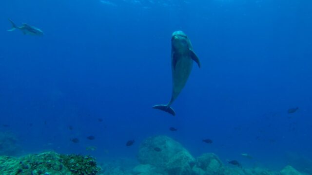 imgi_288_GOPR0455-Editar-1500×1125