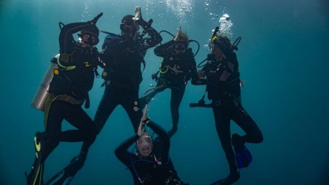 imgi_367_Coiba-divers-2048×1365