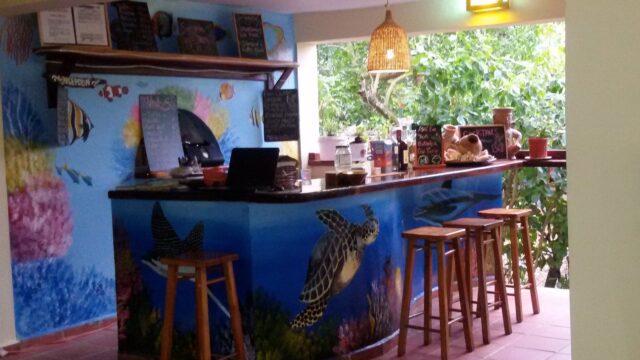 imgi_489_bar-iguanito