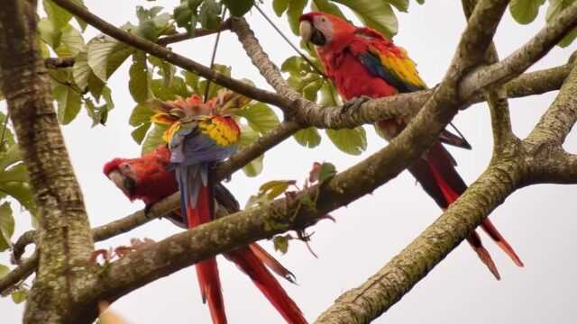 imgi_59_2e7ee5_690885f1230c4017ab7055185d83a5be~mv2