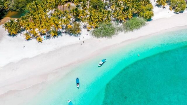 schooling fish coiba island panama