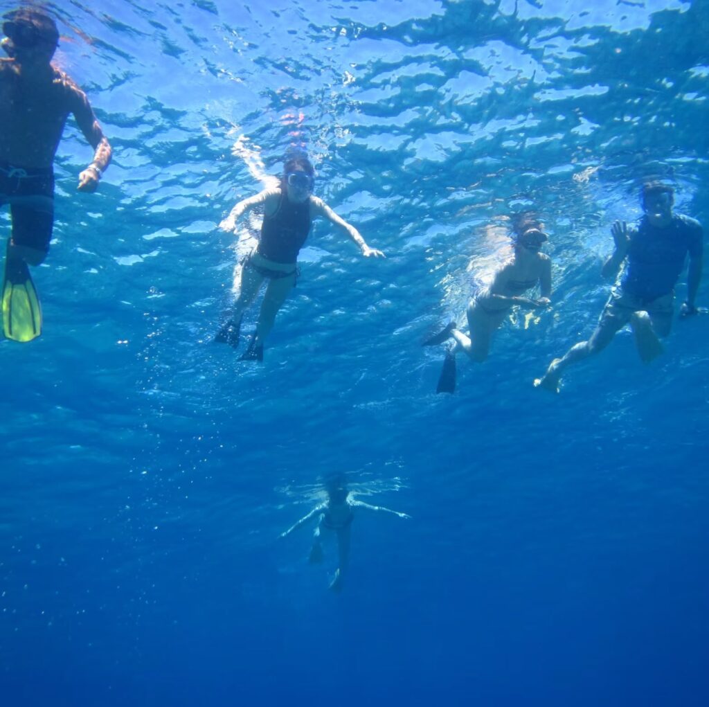 Dolphin & Whale Watching – Coiba Marine Life Adventure