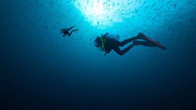 Best Scuba Diving Coiba