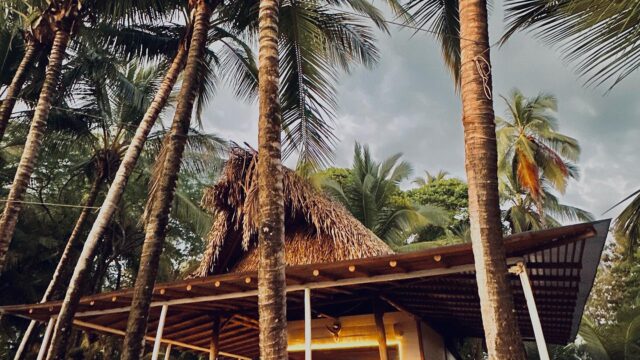 Oasis Beach Bar Santa Catalina