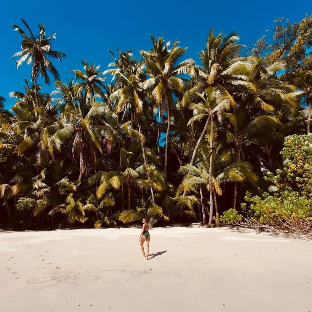 Spotted eagle ray gliding over sand in Coiba