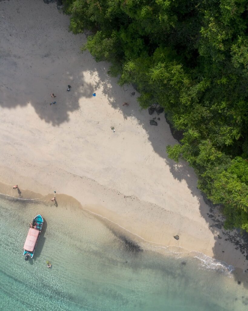 Sea turtle resting on reef during Coiba dive