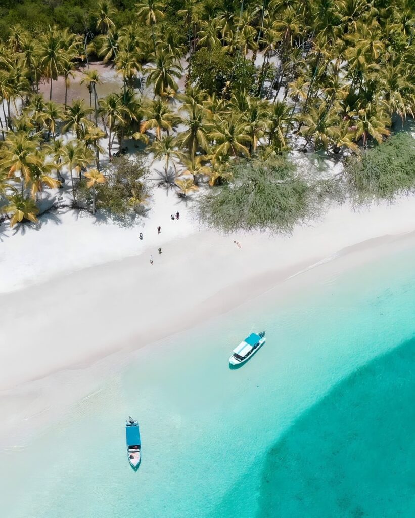 Diver photographing schooling jacks in Coiba