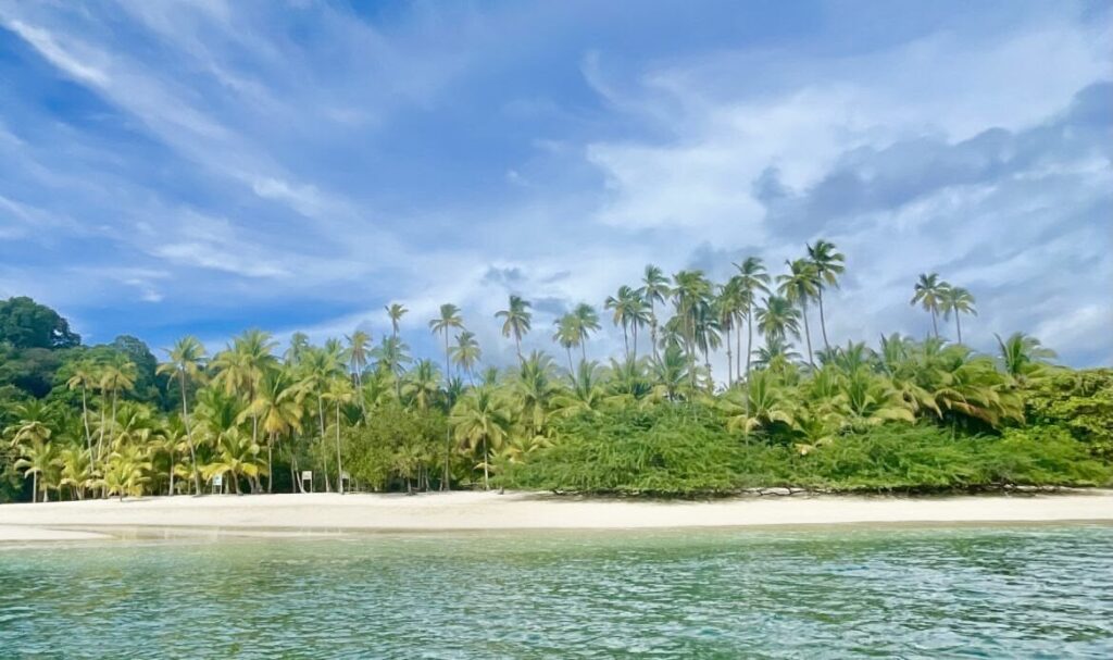 Scuba diver descending along reef wall in Coiba National Park