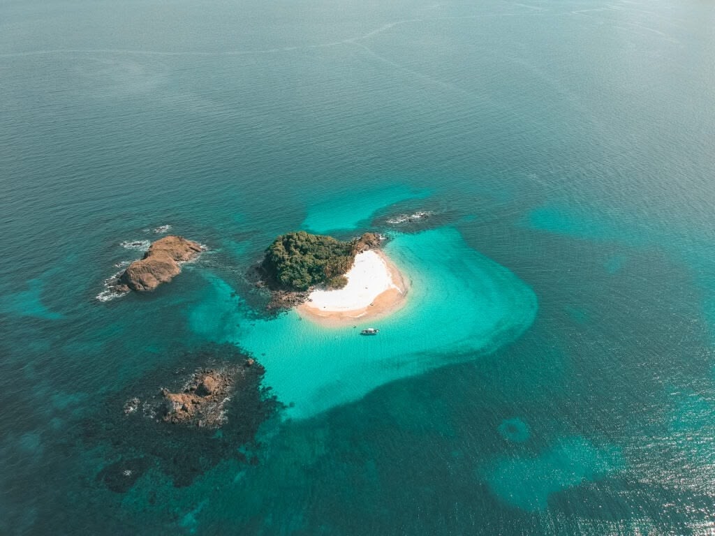 Underwater view of divers and schooling jacks in Coiba