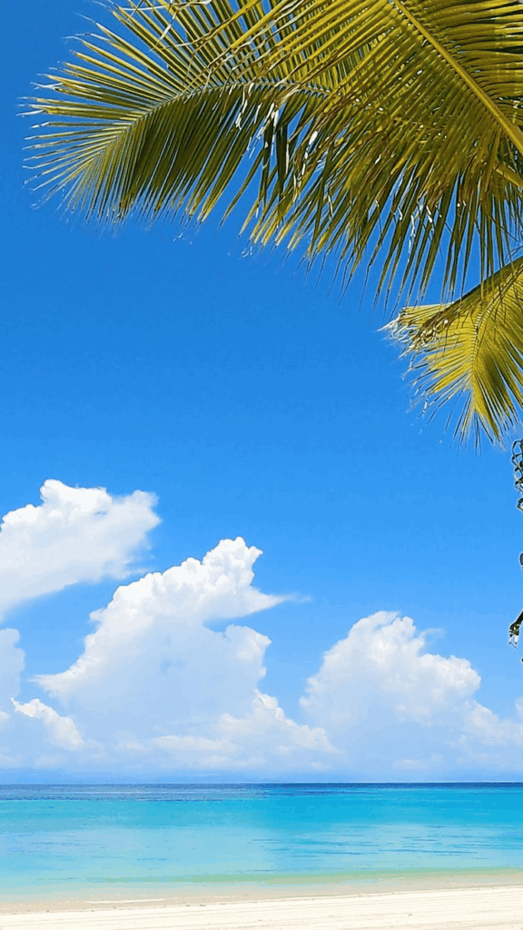 Coiba National Park coastline with dense green forest
