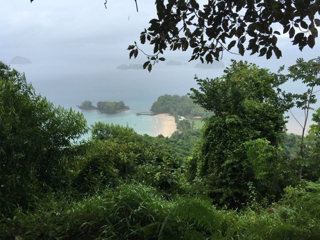 Snorkeling with sea turtle and reef fish in Coiba Island Panama