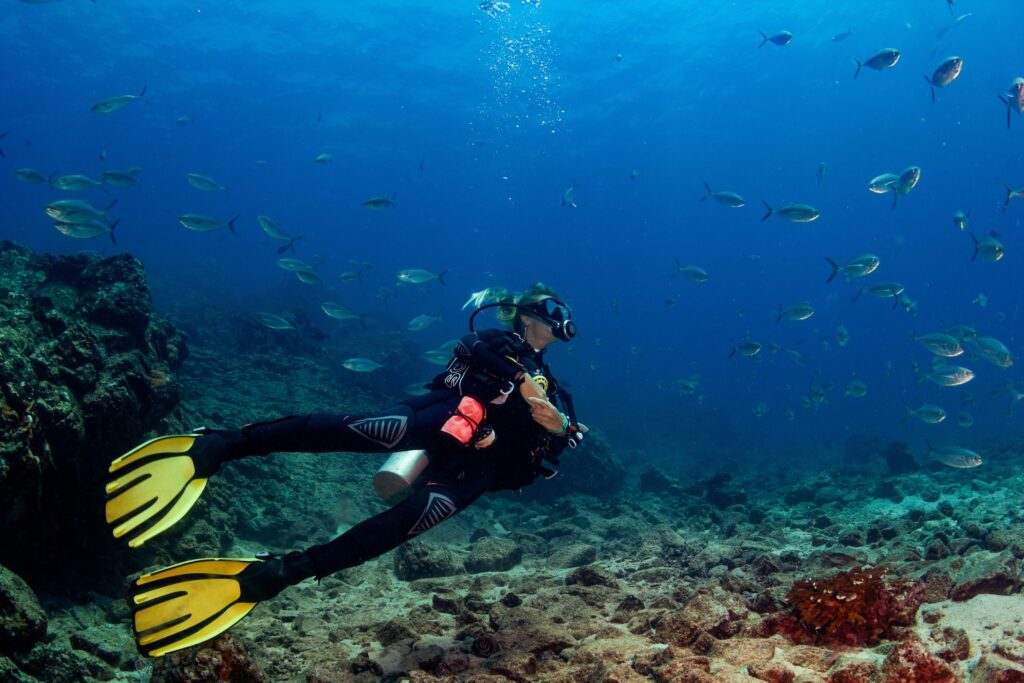Diver exploring reef on a Coiba Island dive trip