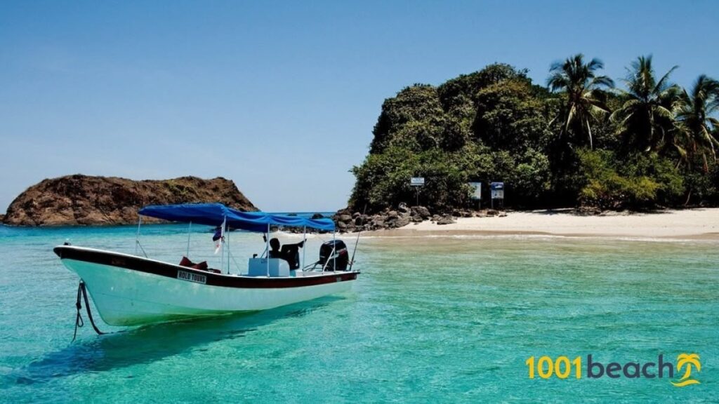 Schooling fish and volcanic reef in Coiba National Park