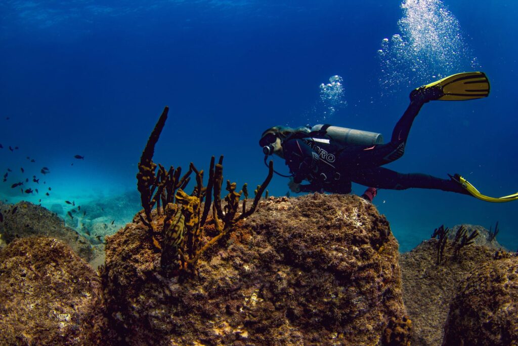 Scuba divers drifting over reef in Coiba Island Panama
