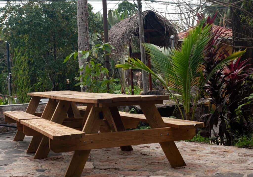 dsc_1409~~679ea4ce43f80