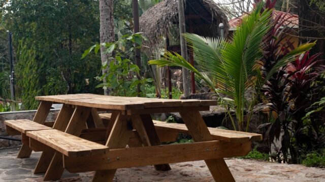 dsc_1409~~679ea4ce43f80