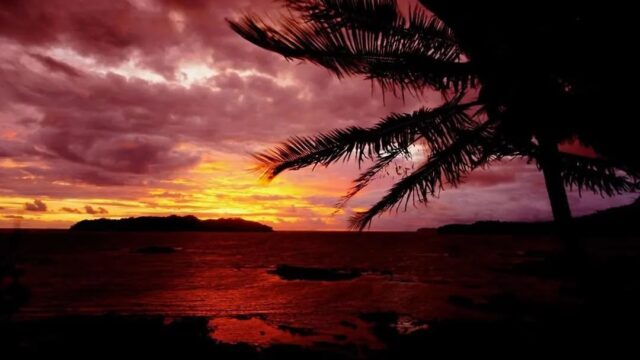 imgi_229_photo-vista-coiba-villas-restaurant-santa-catalina-53