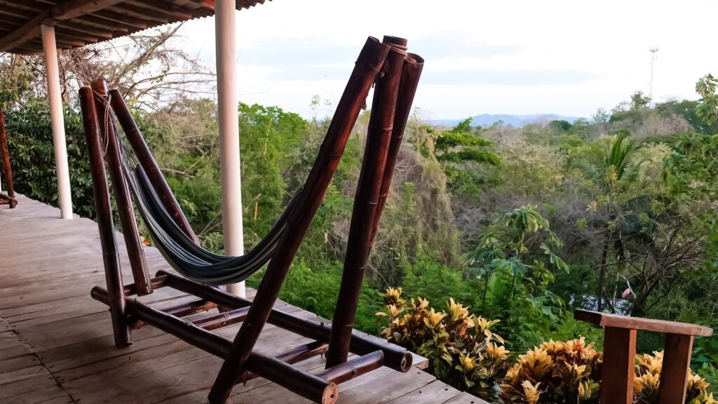 imgi_3_67AC112B-AC5B-42EE-8A8D-2CA076502DDB-6316-000001F322E9AF13