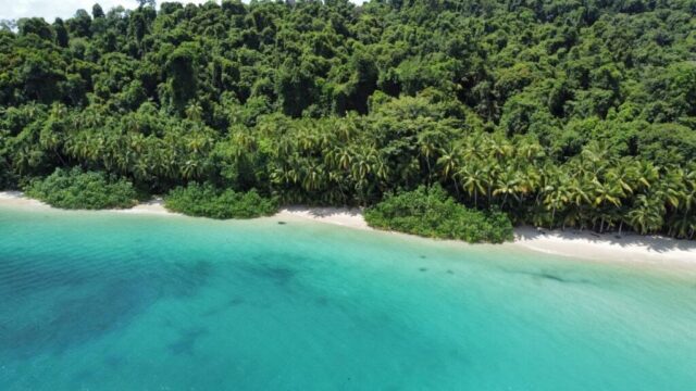 imgi_44_coiba1-1024×576