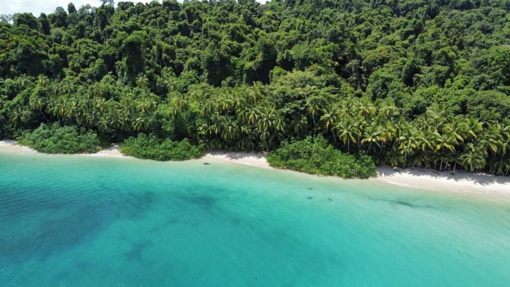 imgi_44_coiba1-1024×576