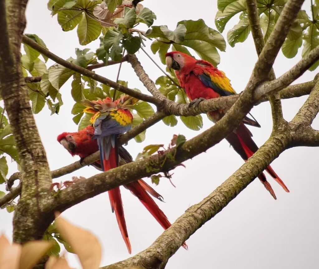 imgi_59_2e7ee5_690885f1230c4017ab7055185d83a5be~mv2