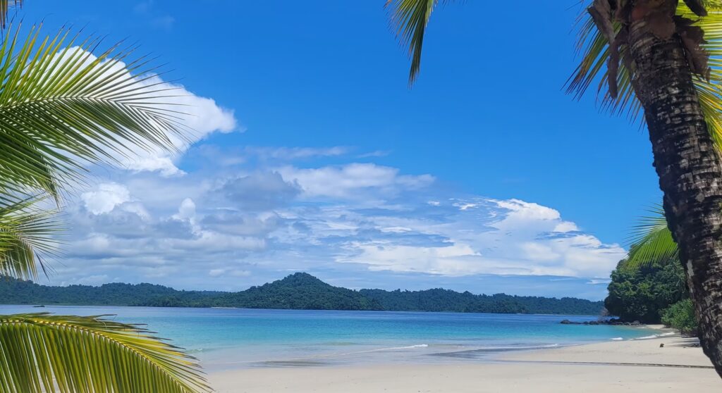 Coiba Eco Explorer – Hidden Beaches & Local Guides