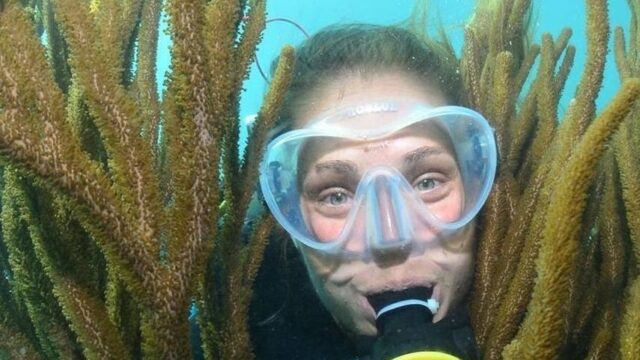 Best Time to Visit Coiba Island