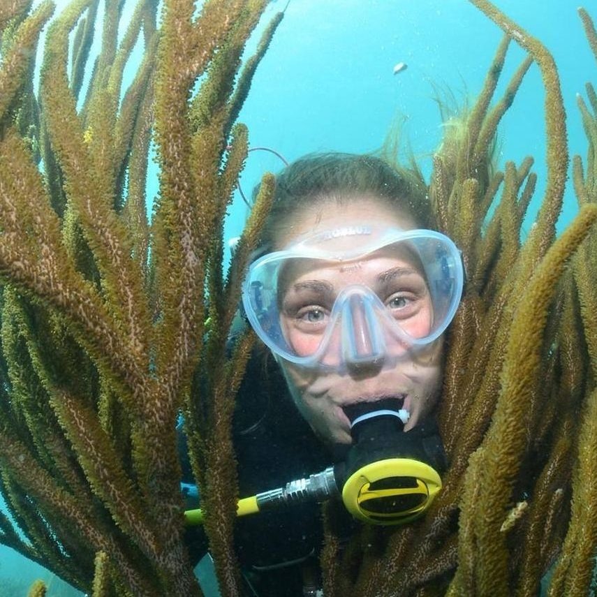 Best Time to Visit Coiba Island