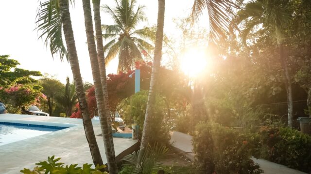 imgi_8_CA5E066A-CD5C-4C27-AB12-C8ED70FBCD14-6316-000001F2AA788A5D