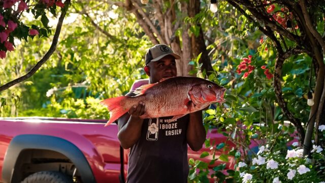 imgi_9_C2B3D036-F94D-43B5-AD9D-59FF82CE1DCD-6316-000001F200ACB3FB