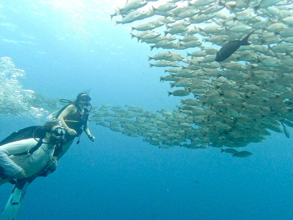 Scuba diver swimming through schooling fish in Coiba