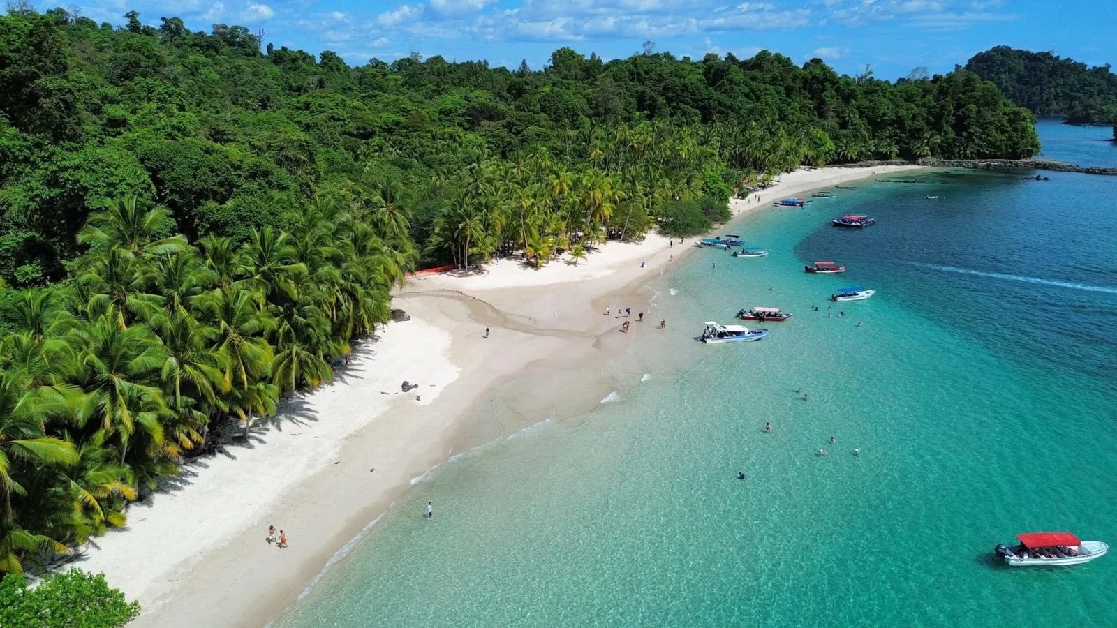 Gallery coiba Photos