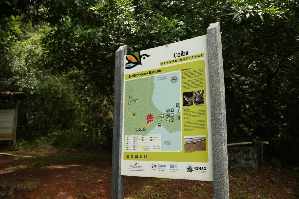 Snorkelers relaxing near white-sand beach in Coiba